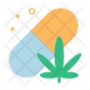 Cannabis Capsule  Icon