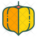 Cape Gooseberry Berry Icon