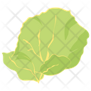 Capnella Icon