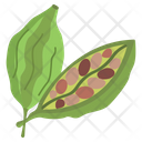 Cardamom Herbal Spices Icon