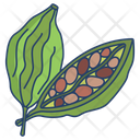 Cardamom Herbal Spices Icon