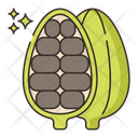 Cardamomo Ícone