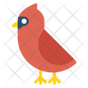 Cardinal Icon