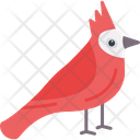 Cardinal  Icon