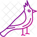 Cardinal  Icon