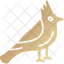 Cardinal  Icon