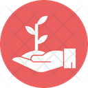 Care Plant Icon