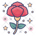 Carnation Dianthus Caryophyllus Clove Pink Icon