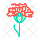 Carnation Flower Icon