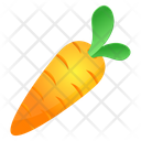 Organic Food Carrot Daucus Icon