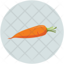 Carrot Food Healthy Icon
