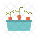 Carrots Raised Bed Vegetaables Icon