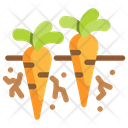 Carrots Ecology Energy Icon