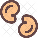Cashew Nut Food Icon