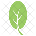 Cashew Leaf Icon