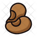 Cashew Nuts Cashew Nut Fruit Icon