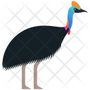 Cassowaries Bird Nature Icon