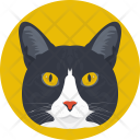 Cat Feline Face Icon