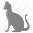Cat Animal Wildlife Icon