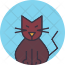 Cat Kitty Halloween Icon