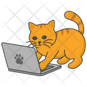 Cat Playing Laptop Cat Playing Icon