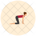 Cat Yoga Pose Icon