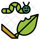 Caterpillar Worm Insect Icon