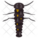Caterpillar Insect Animal Icon