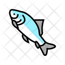 Catla Fish Icon