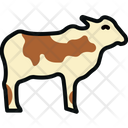 Bovine Cattle Cow Icon