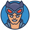 Gotham Girl Animated Series Warrior Icon