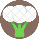 Cauliflower Vegetable Brassicaceae Icon
