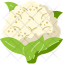 Cauliflower Food Diet Icon