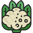 Cauliflower Vegetable Head Icon