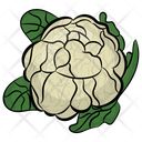 Cauliflower Broccoli Cabbage Icon