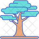 Cedar  Icon
