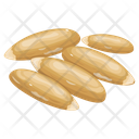 Cedar Nuts Icon