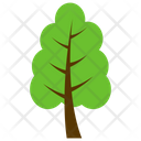 Tree Forest Wood Icon