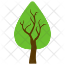 Cedar Tree Icon