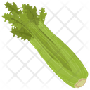 Celery Vegetable Green Icon