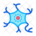 Cell Human Body Icon