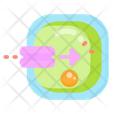 Cell Membrane Icon