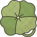 Centella  Icon