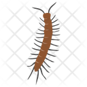 Centipede Insect Pest Icon