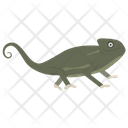 Chameleon Reptile Animal Icon