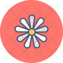 Chamomile Spring Blossom Icon