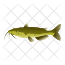 Channel Catfish Icon