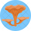 Mushrooms Chanterelle Mushroom Mushroom Icon