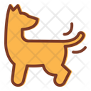 Chasing Tail  Icon