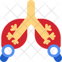 Checkup Lung Icon
